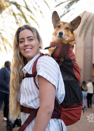 Knavigate | Advanced Dog Carrier with Internal Frame & Hip Belt