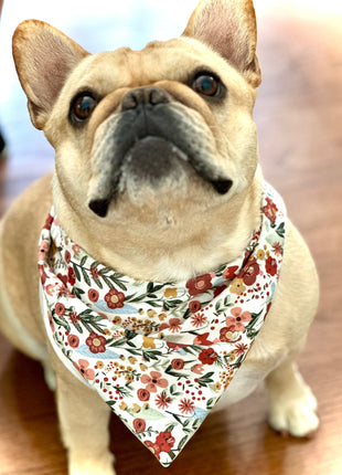 Floral Dog Bandana