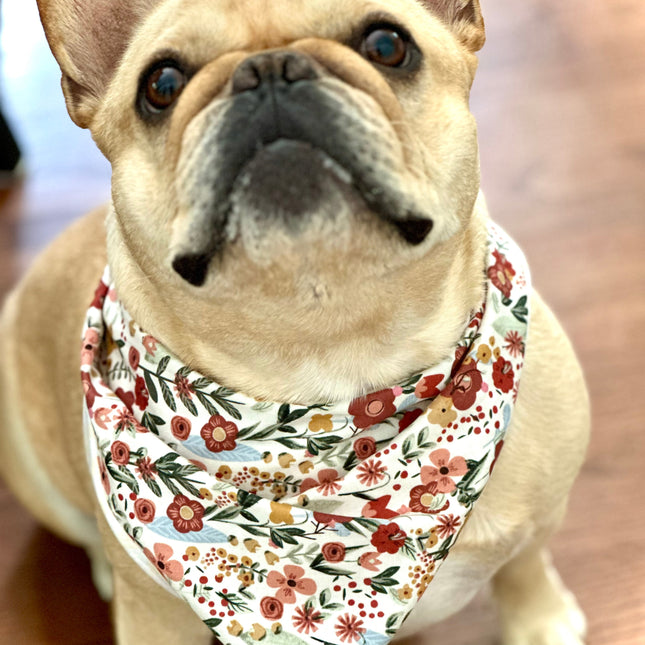 Floral Dog Bandana