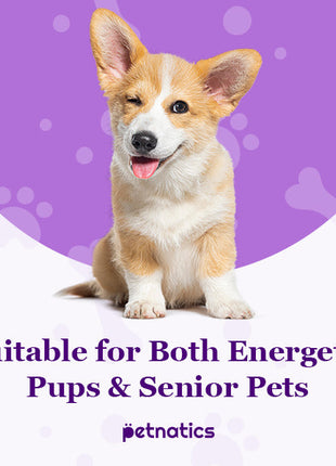 PawBalm ReducedSlip - Pup List