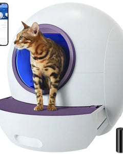 Collection image for: Litter & Litter Boxes