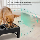Slow Feeder Bowl