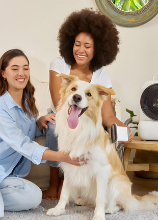 Grooming Kit With Vacuum - Pup List