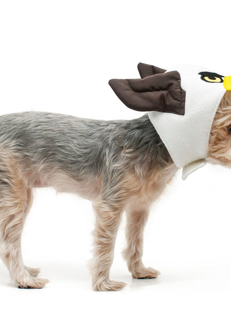 Eagle Hat