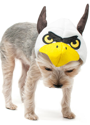 Eagle Hat