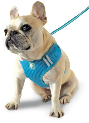 EasyGO Basic - Pup List