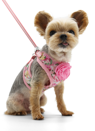 EasyGO Blossom