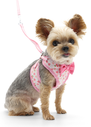 EasyGO Cherish Heart