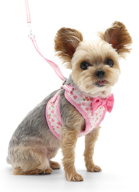 EasyGO Cherish Heart