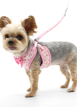 EasyGO Cherish Heart