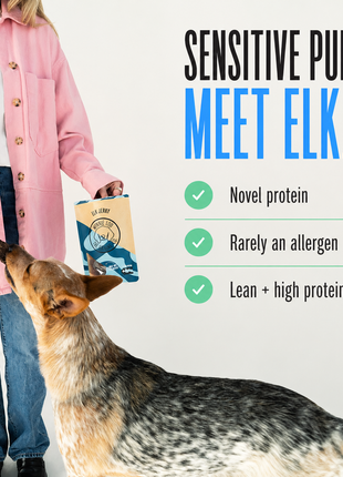 Elk Jerky