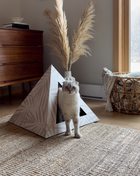 'Neutral Palm' Cardboard Cat Pyramid