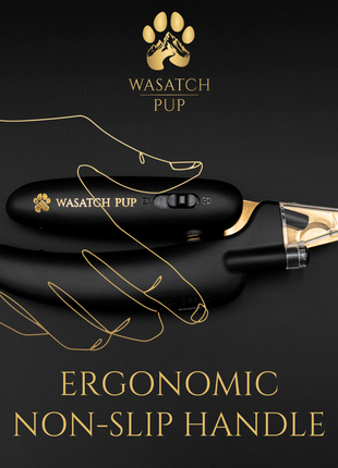 3 in 1 Nail Clippers