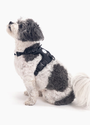Signature Harness