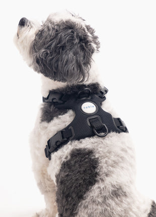 Signature Harness