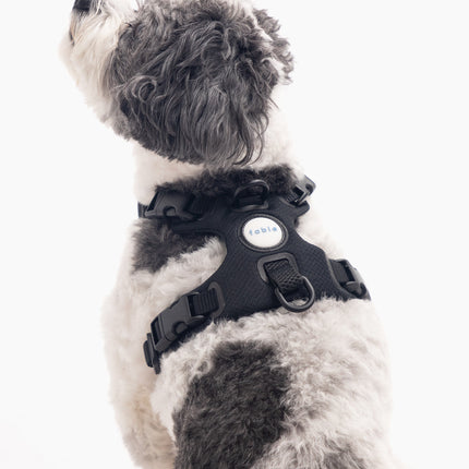 Signature Harness