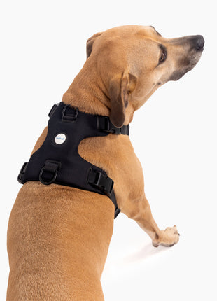Signature Harness