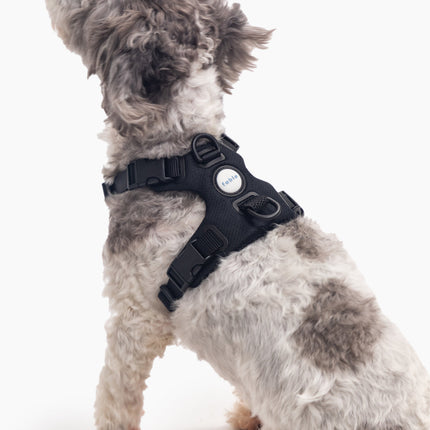 Signature Harness
