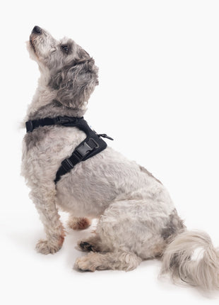 Signature Harness