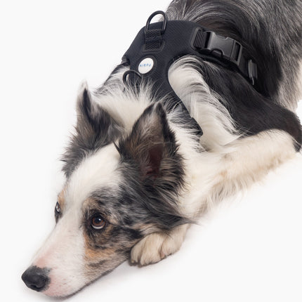 Signature Harness