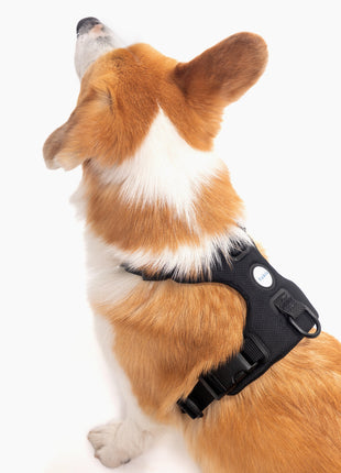 Signature Harness