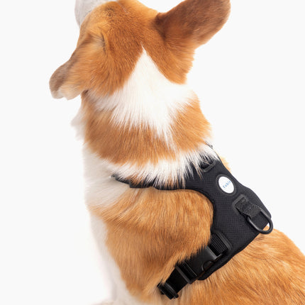 Signature Harness
