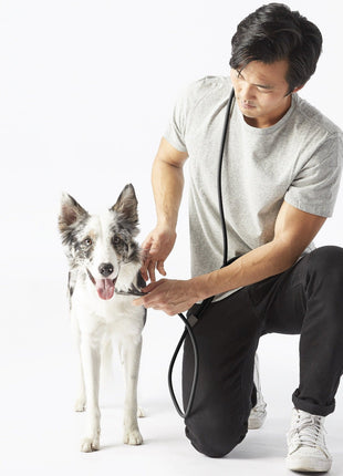 Magic Leash®