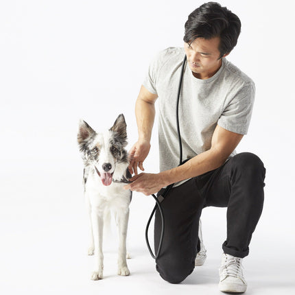 Magic Leash®