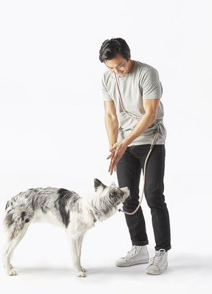 Magic Leash®