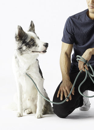 Magic Leash®