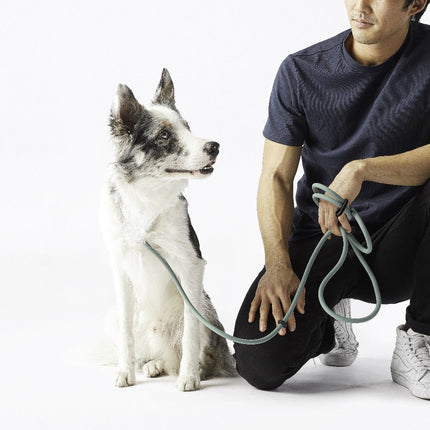 Magic Leash®