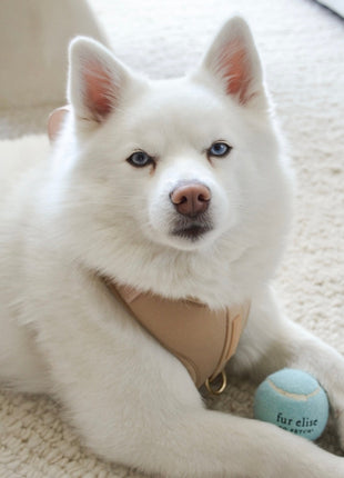 So Fetch! Tennis Ball - Cloud