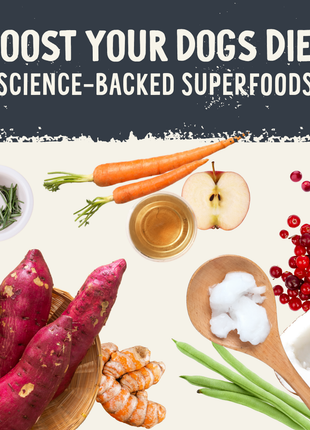 Freeze Dried Raw Beef Recipe