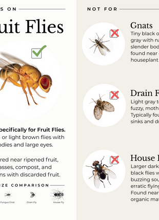 (2 Pack) Fruit Fly Trap for Home + Kitchen - Pup List