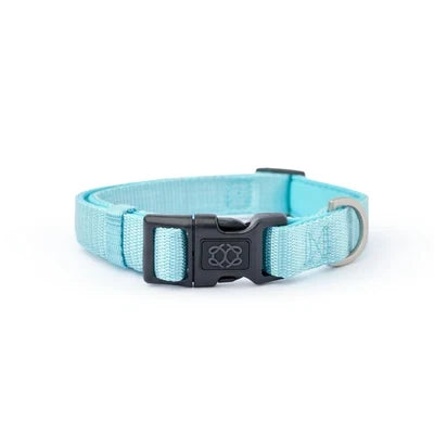 City Collar - Fifth Avenue - Pup List