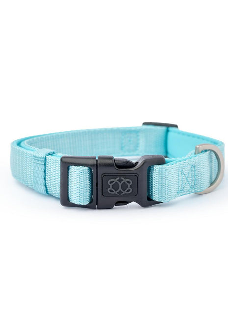 City Collar - Fifth Avenue - Pup List