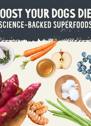 Freeze Dried Raw Salmon Recipe