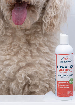 Flea & Tick Shampoo for Dogs + Cats with Natural Essential Oils