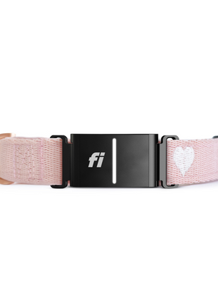 The DOGISTRY x Fi Sweetheart 3+ Collar Band