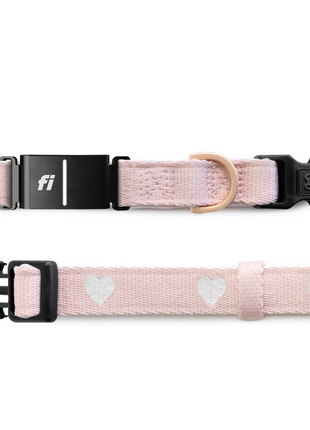 The DOGISTRY x Fi Sweetheart 3+ Collar Band
