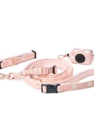 The DOGISTRY x Fi Sweetheart 3+ Collar Band