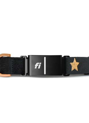 The DOGISTRY x Fi Rockstar 3+ Collar Band