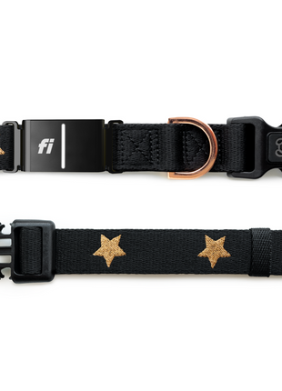 The DOGISTRY x Fi Rockstar 3+ Collar Band