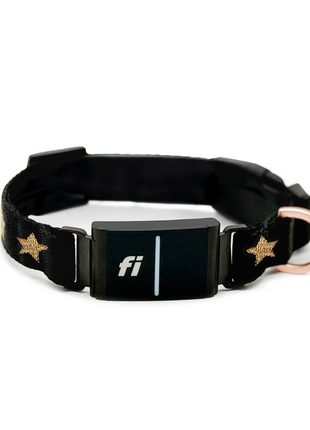 The DOGISTRY x Fi Rockstar 3+ Collar Band