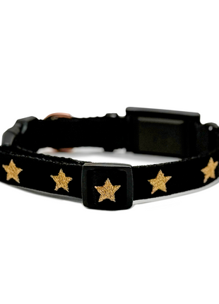 The DOGISTRY x Fi Rockstar 3+ Collar Band