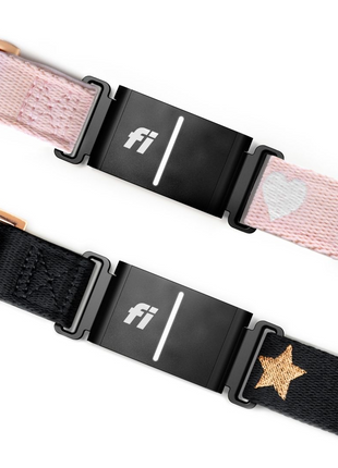 The DOGISTRY x Fi Rockstar 3+ Collar Band