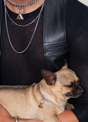 Fierce Gold Pet Necklace | DIPHDA