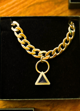 Fierce Gold Pet Necklace | DIPHDA