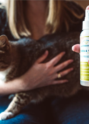 Flea & Tick Spray for Pets + Home Scent Sampler