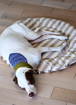 Nooee Pet Replacement Cushion
